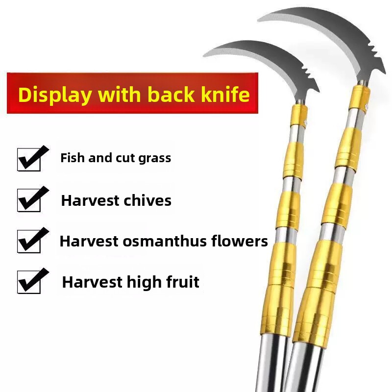Uitschuifbare stok van roestvr - Fishing Equipment Carp recensie en prijs