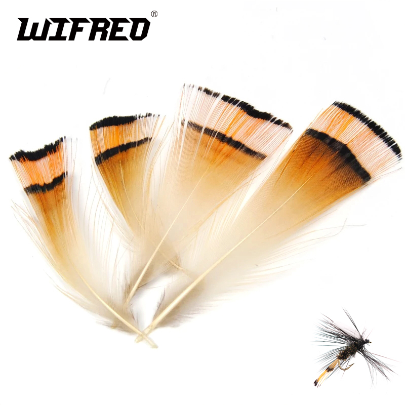 50 Stuks Natuurlijke Kleur Gou - Fishing Equipment Brands recensie en prijs