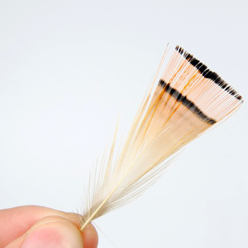 50 Stuks Natuurlijke Kleur Gou - Fishing Equipment Brands recensie en prijs